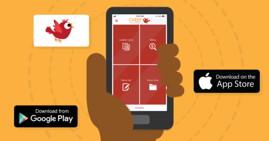 Downloading the Cheep Insurance mobile app